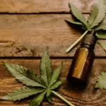Read more about the article Benefits of CBD: How to Incorporate it into Your Daily Routine for Optimal Results