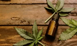 Benefits of CBD: How to Incorporate it into Your Daily Routine for Optimal Results