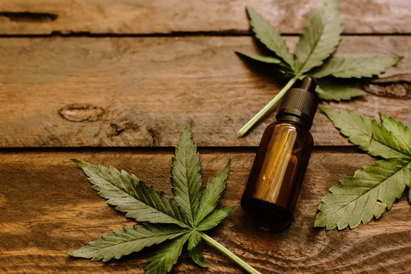 Read more about the article Benefits of CBD: How to Incorporate it into Your Daily Routine for Optimal Results