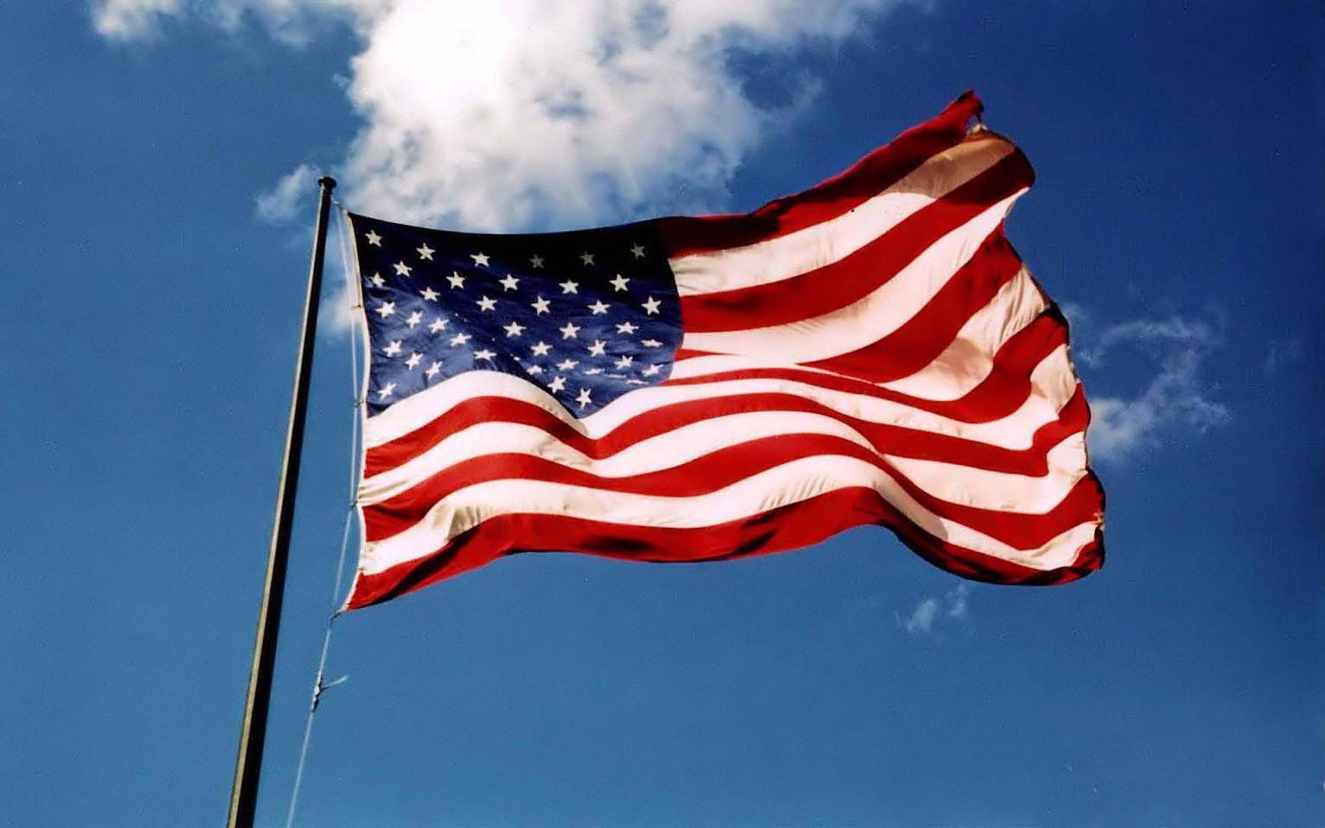 Read more about the article The Best Journey of the American Flag